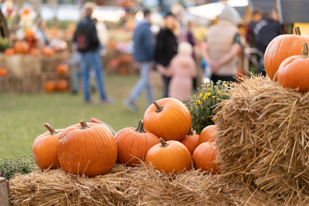 Autumn Harvest Festival